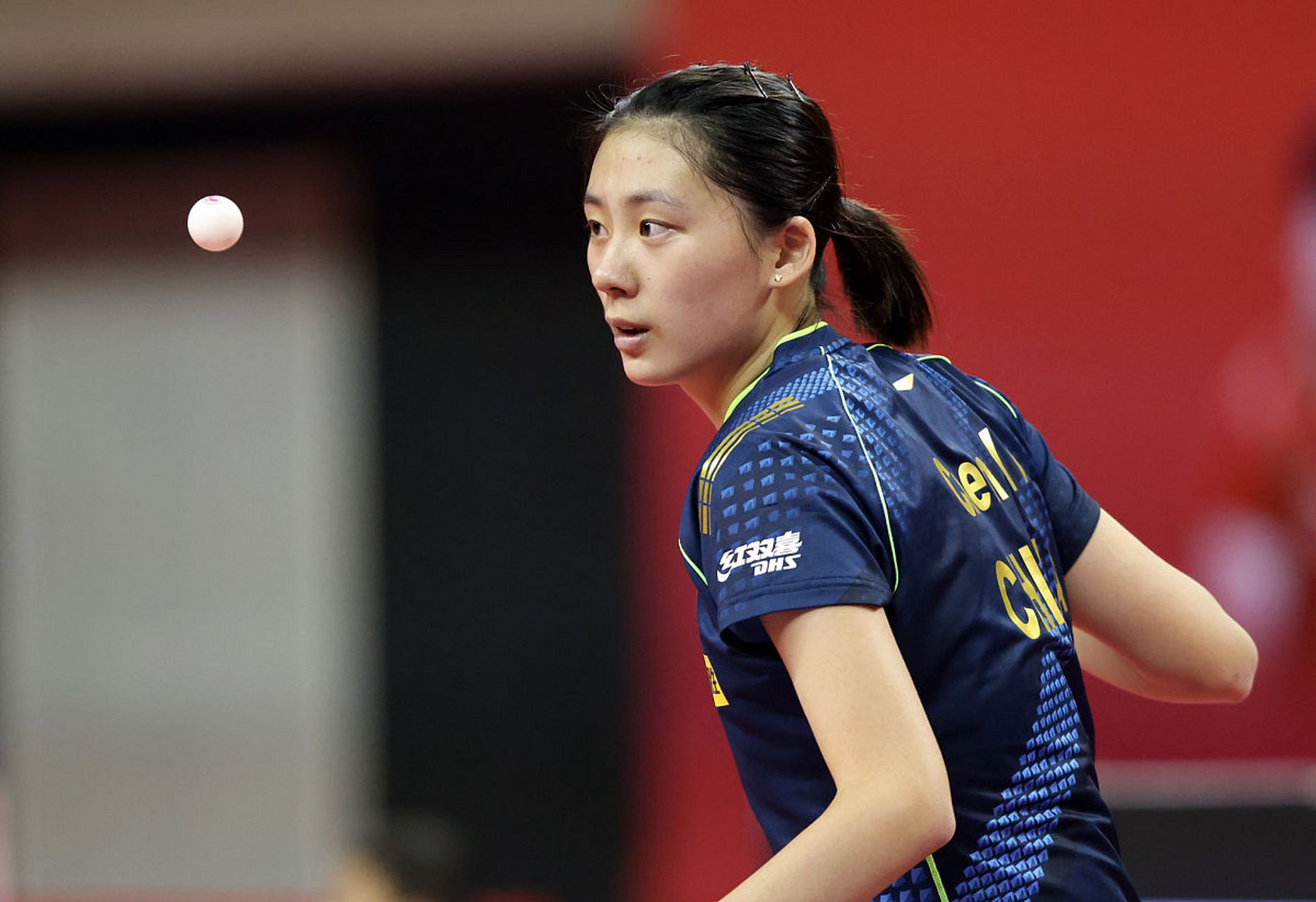 将加盟云南 将加盟云南