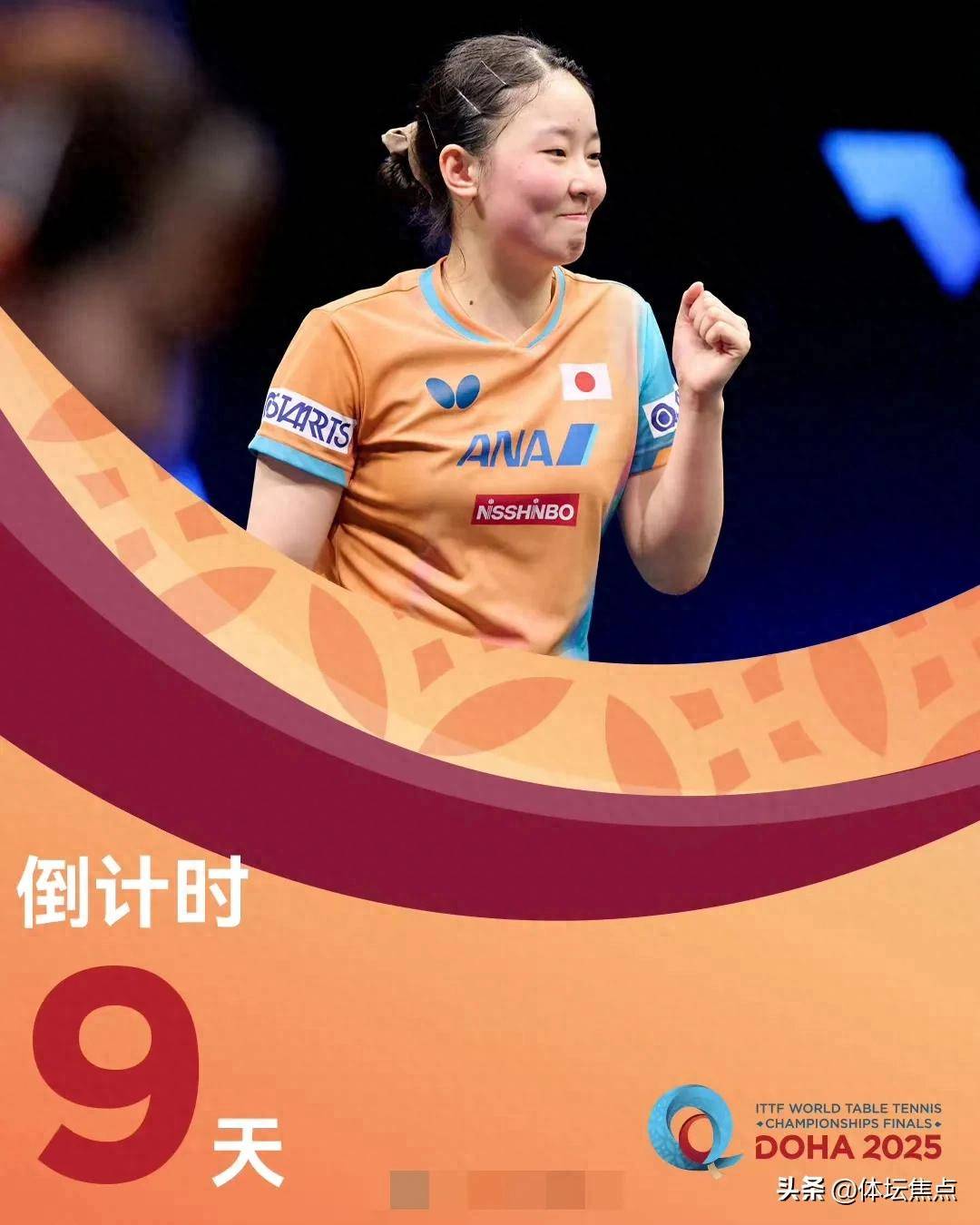 阵容的根基 阵容的根基